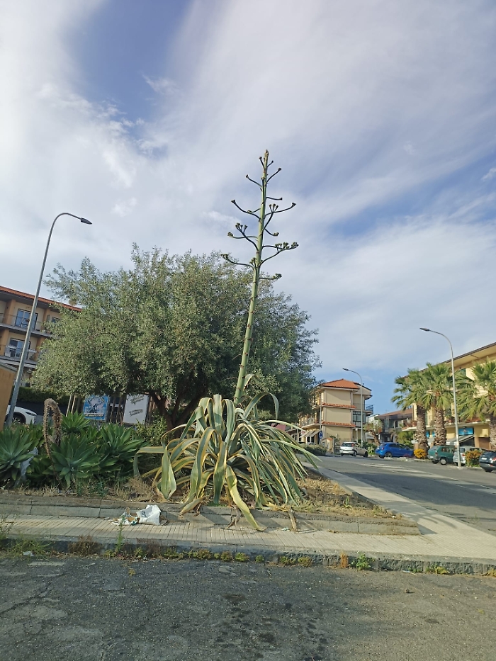 WhatsApp-Image-2024-06-06-at-19.39.50-4