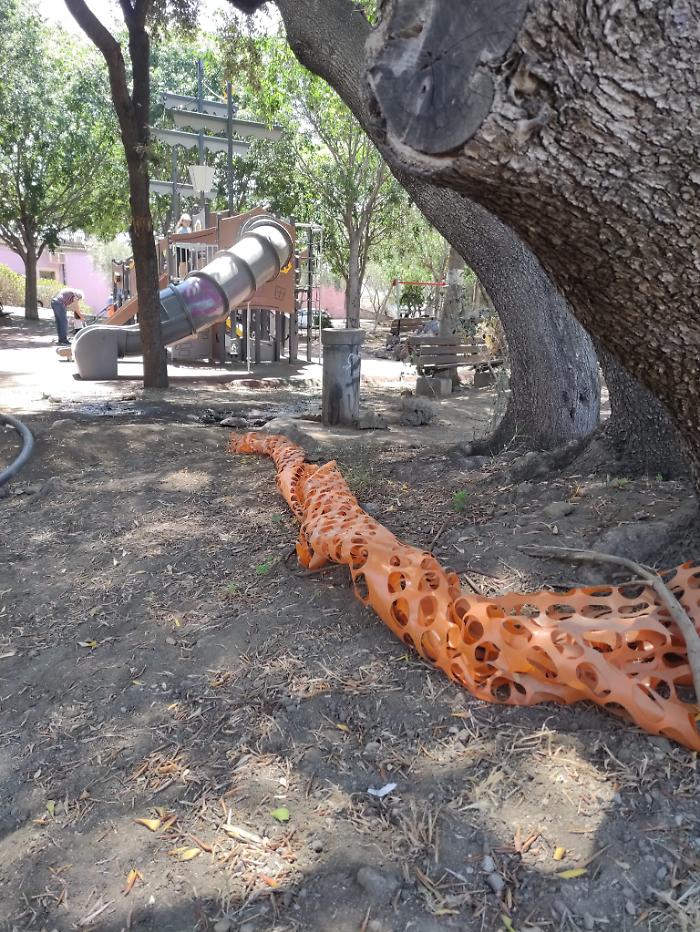 WhatsApp-Image-2024-06-07-at-11.24.50-2