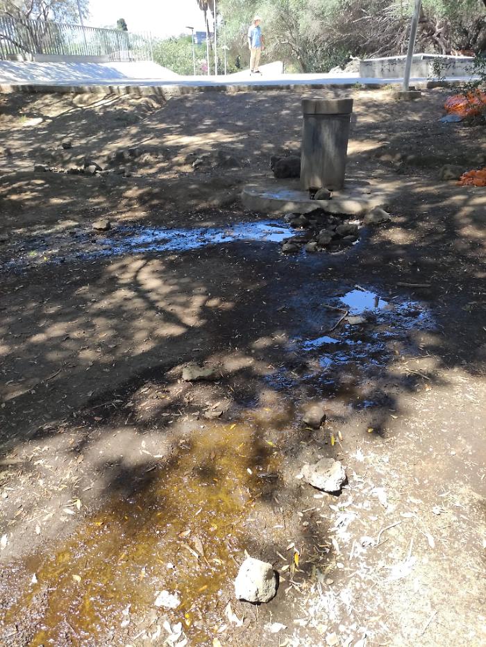 WhatsApp-Image-2024-06-07-at-11.24.51-1