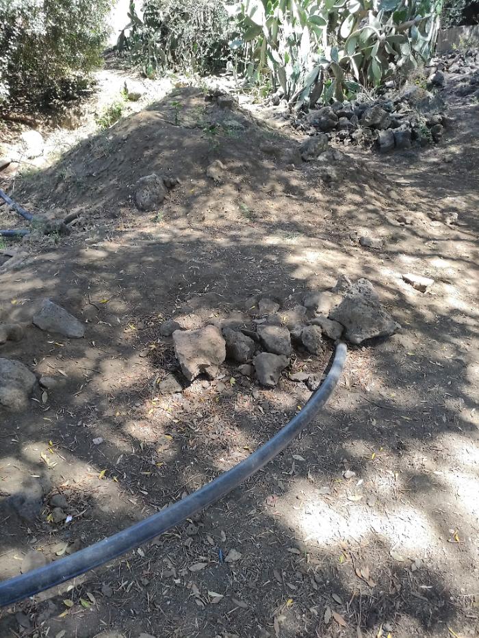 WhatsApp-Image-2024-06-07-at-11.24.51-2