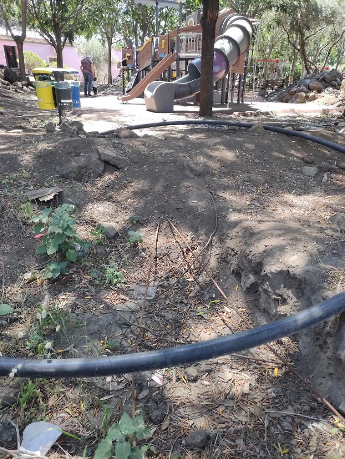 WhatsApp-Image-2024-06-07-at-11.24.51