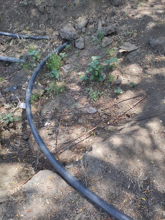 WhatsApp-Image-2024-06-07-at-11.24.52