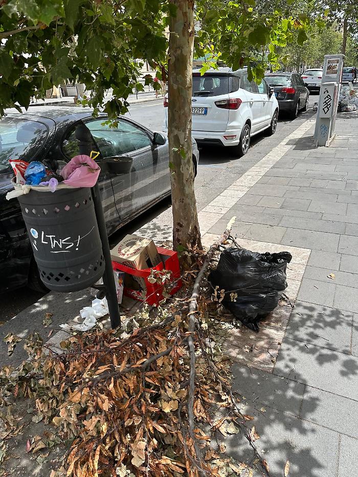 WhatsApp-Image-2024-06-09-at-21.35.37