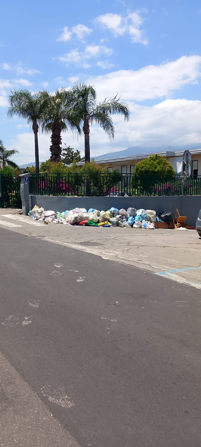 WhatsApp-Image-2024-06-26-at-15.57.25-2