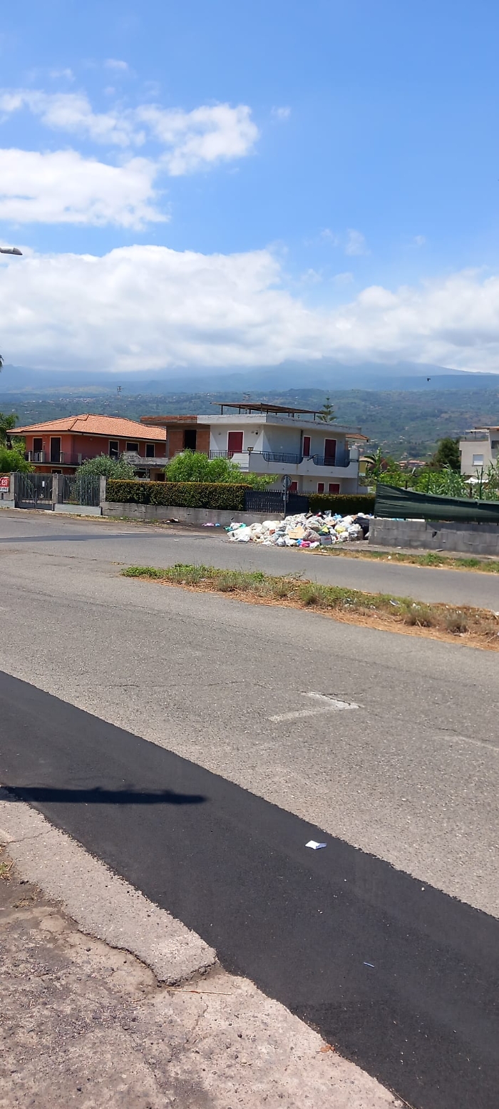 WhatsApp-Image-2024-06-26-at-15.57.25