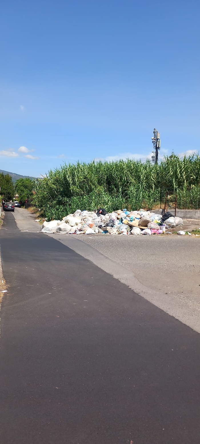 WhatsApp-Image-2024-06-26-at-15.57.26-1