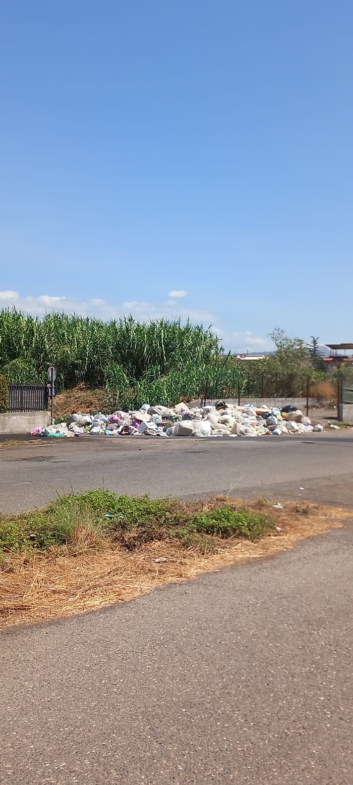 WhatsApp-Image-2024-06-26-at-15.57.26-2