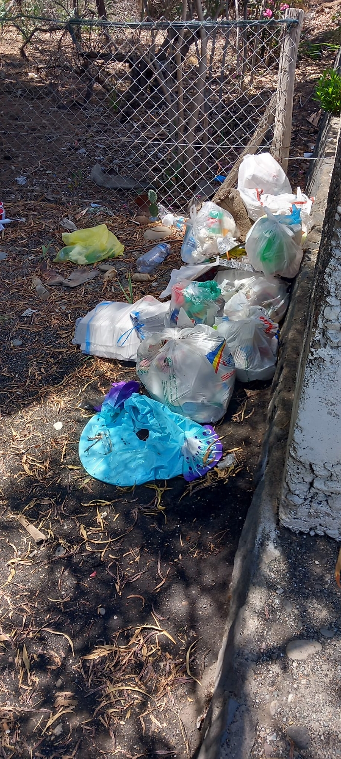 WhatsApp-Image-2024-06-26-at-15.57.26