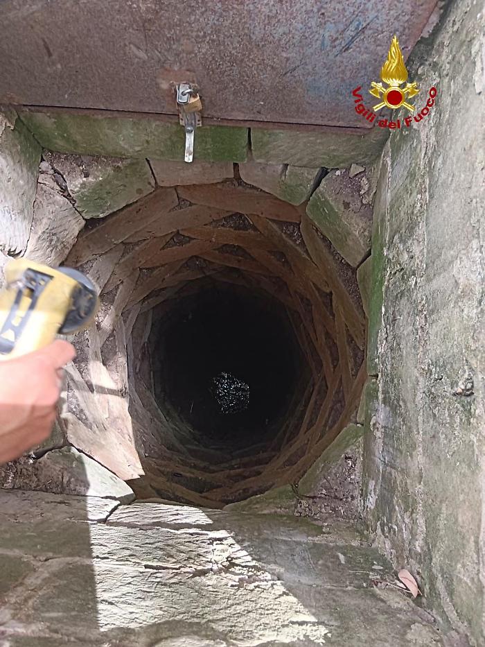 WhatsApp-Image-2024-06-27-at-16.45.04