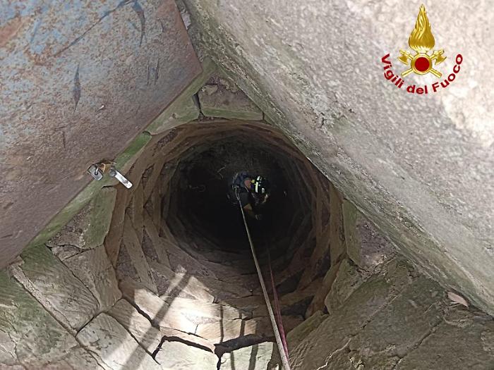 WhatsApp-Image-2024-06-27-at-16.45.26