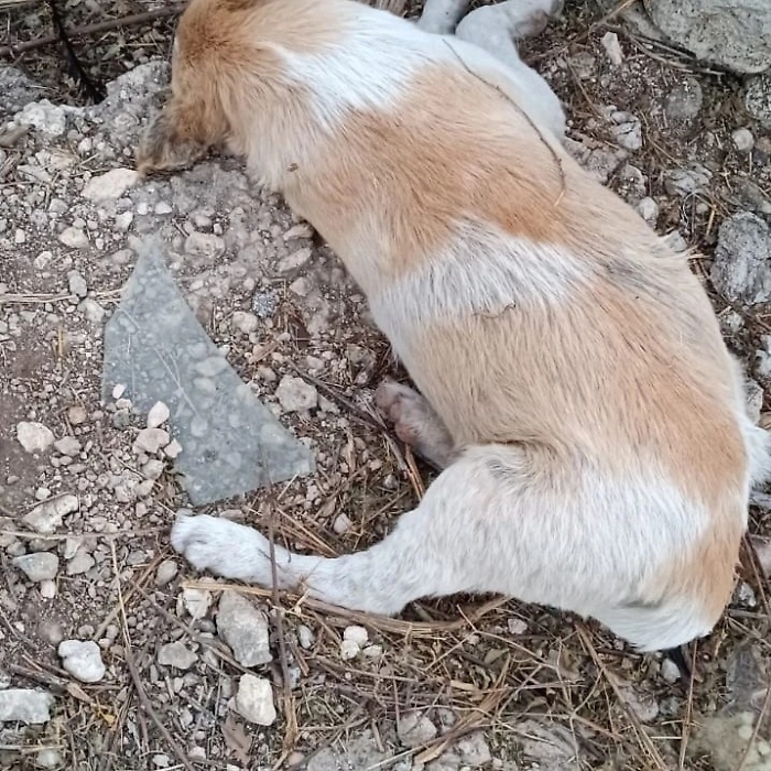 450005791_2475643125978725_4162485908097735753_n