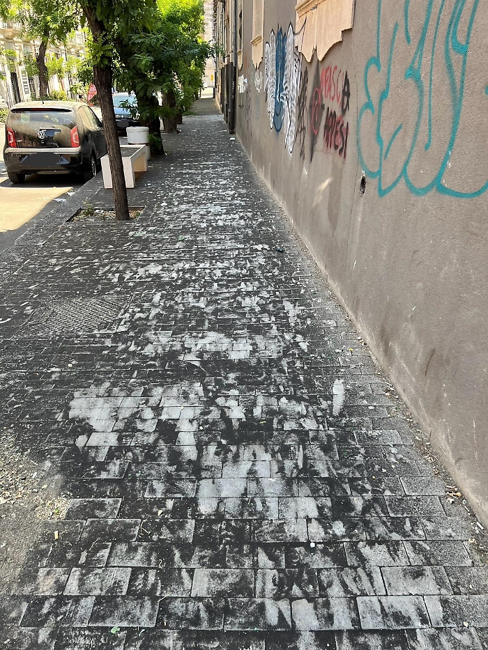 AA4D2E96-D223-4AF4-849B-7DB91E24E2C1