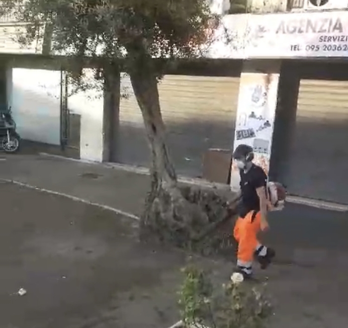 C9551095-D99E-445D-8809-BADC3995C526