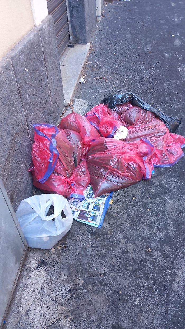 D5E1DD64-4A14-4146-A52A-F04C1FD2D530