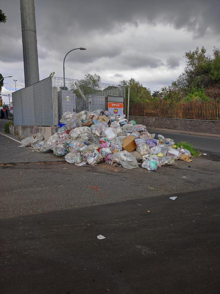 WhatsApp-Image-2024-07-04-at-11.02.45