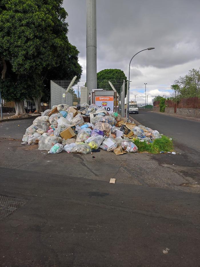 WhatsApp-Image-2024-07-04-at-11.02.46