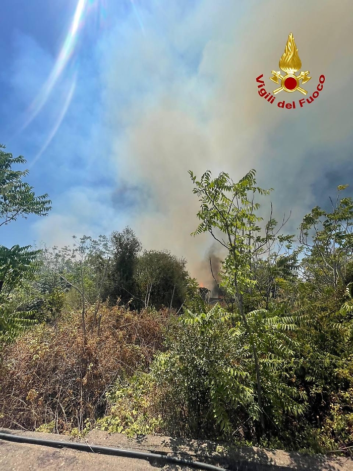 WhatsApp-Image-2024-07-15-at-14.46.55