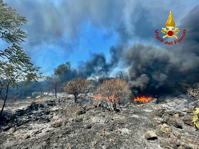 WhatsApp-Image-2024-07-15-at-16.10.47-1