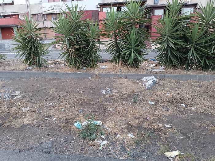 WhatsApp Image 2024-07-16 at 20.21.35 (1)