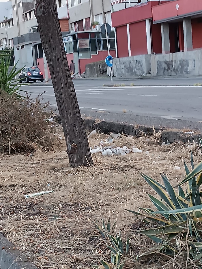 WhatsApp Image 2024-07-16 at 20.21.35 (2)