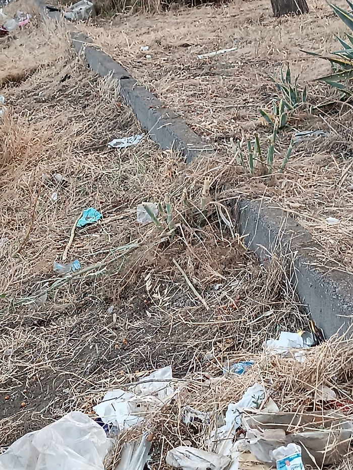 WhatsApp Image 2024-07-16 at 20.21.35 (3)