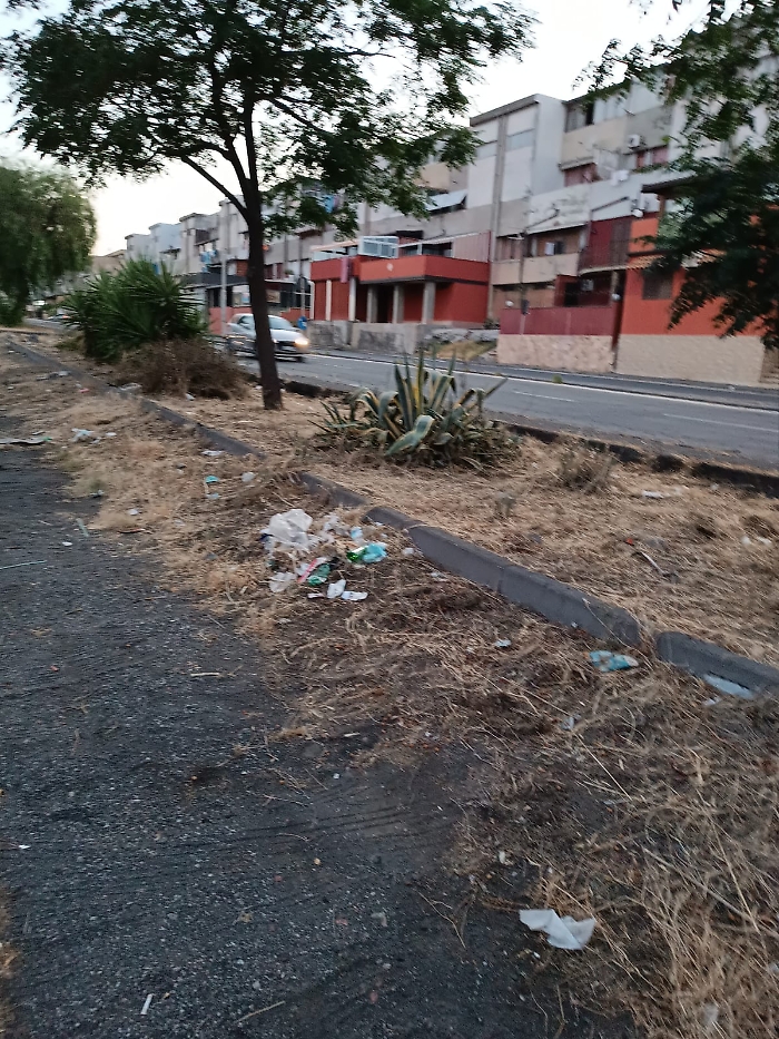 WhatsApp Image 2024-07-16 at 20.21.35