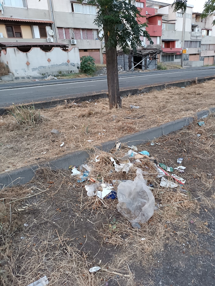 WhatsApp Image 2024-07-16 at 20.21.36