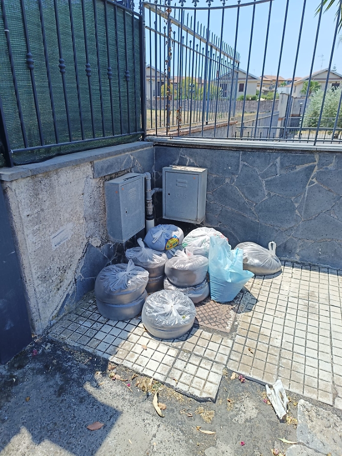 WhatsApp Image 2024-07-18 at 15.30.34 (2)