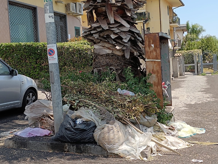 WhatsApp Image 2024-07-18 at 15.30.35 (1)