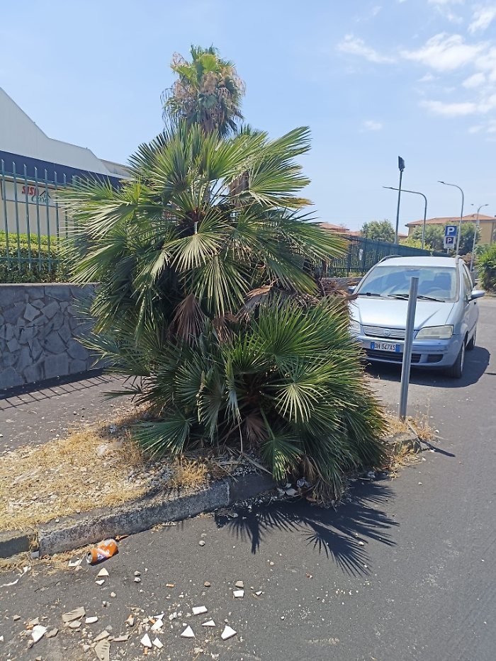 WhatsApp Image 2024-07-18 at 15.30.35 (3)