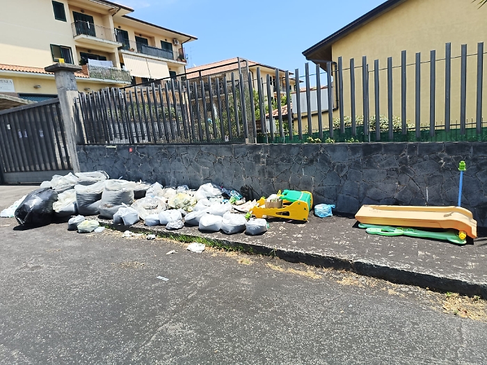 WhatsApp Image 2024-07-18 at 15.30.35