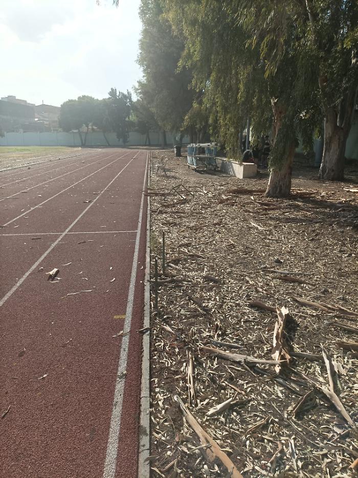 WhatsApp Image 2024-07-22 at 20.40.04 (1)