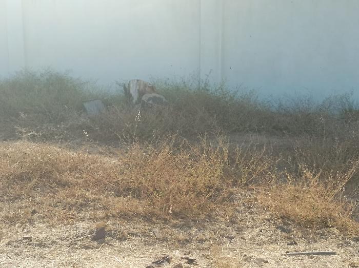 WhatsApp Image 2024-07-22 at 20.40.05 (1)