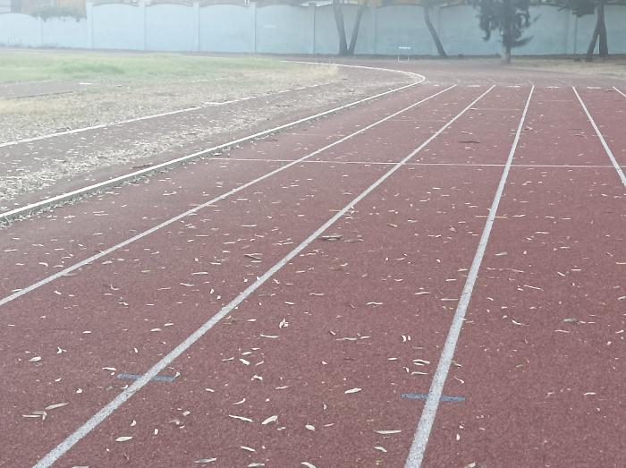 WhatsApp Image 2024-07-22 at 20.40.05 (4)