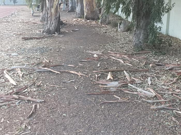 WhatsApp Image 2024-07-22 at 20.40.05 (6)