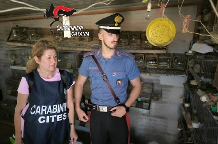 foto-sequestro-cardellini-2