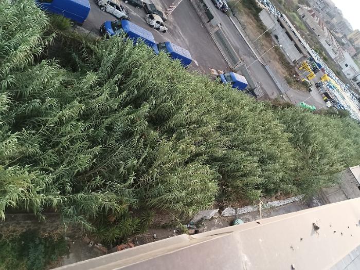 378B8629-B4C1-4E8C-89F9-877C6B4746D8