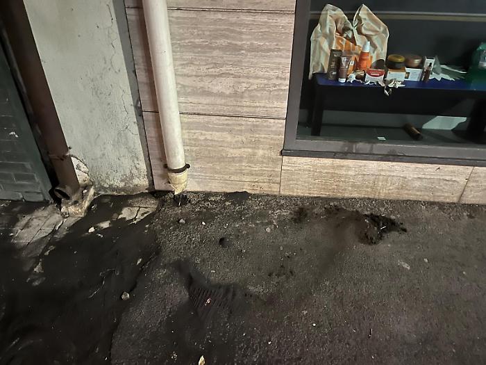 3e3e0f89-cd46-4e85-97a5-559934dc1f34