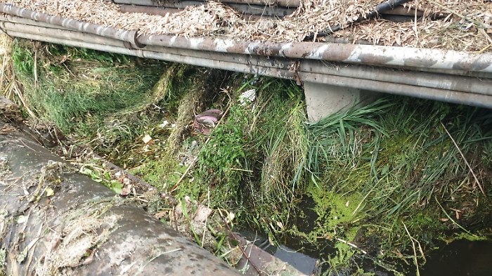 54F598A3-1CA5-4444-98AE-24AF9C43CB13