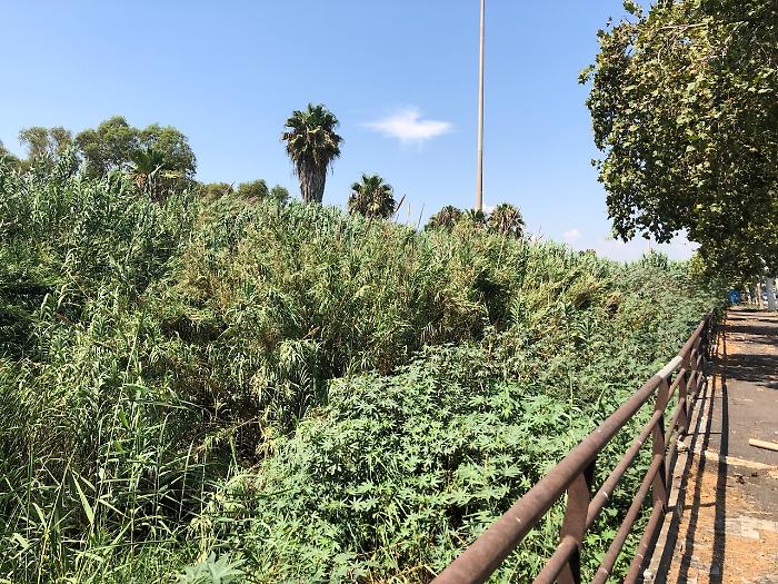 5BDD67F9-B0E9-422F-AEF1-345645FD01B3