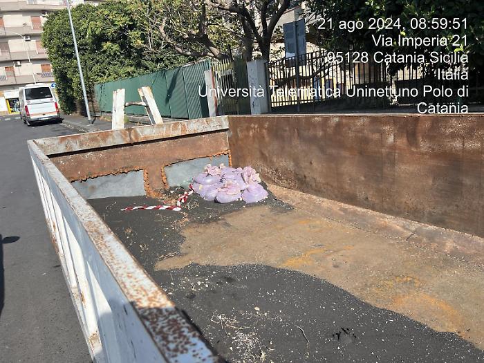 5cac6cee-a1c5-49e3-9e85-9174554fc701