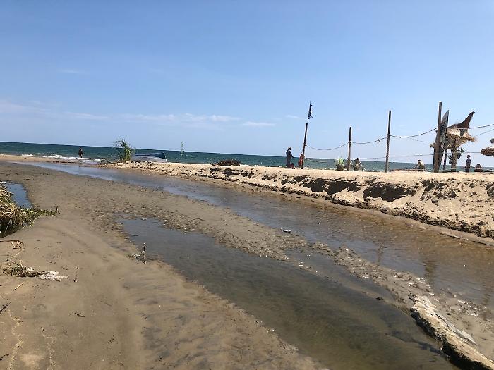 B66E739B-5248-4990-8078-2D693762B878