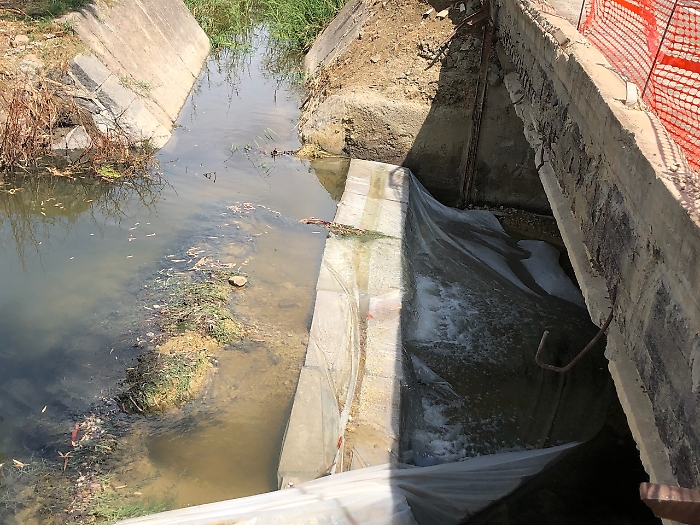 FE53984D-E4F0-444F-80F3-C0F17AEA8E93