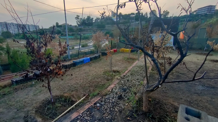 Orti Librino assemblea 6 agosto 09