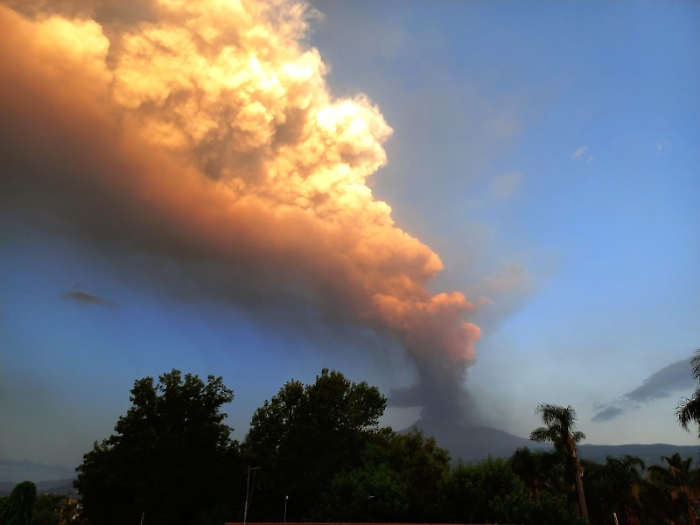 WhatsApp Image 2024-08-04 at 08.20.07