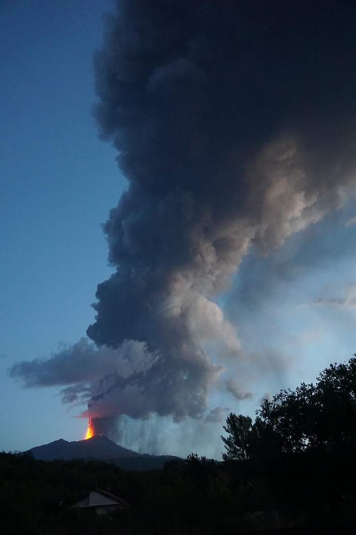 WhatsApp Image 2024-08-04 at 08.49.16