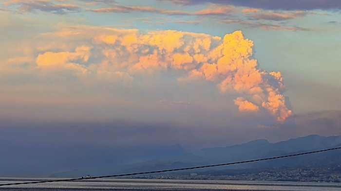 WhatsApp Image 2024-08-04 at 08.49.18 (1)