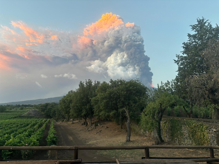 WhatsApp Image 2024-08-04 at 08.49.18