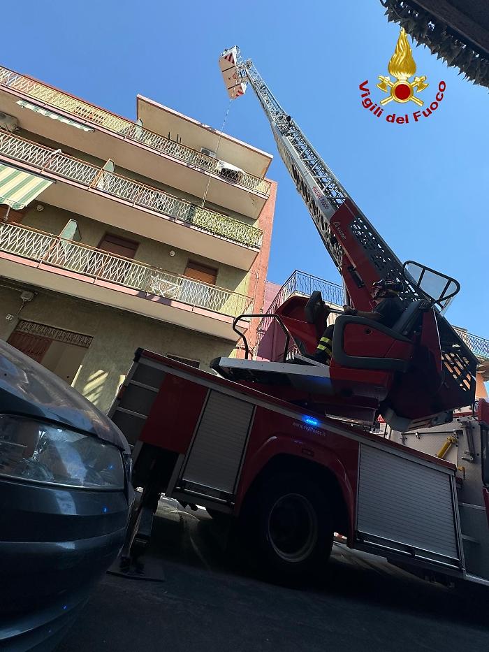 WhatsApp Image 2024-08-12 at 14.15.31 (2)