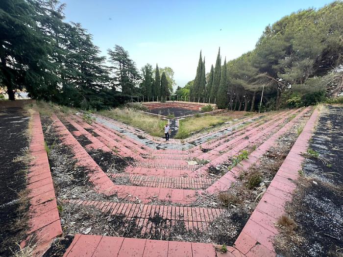 WhatsApp Image 2024-08-13 at 09.47.00 (1)